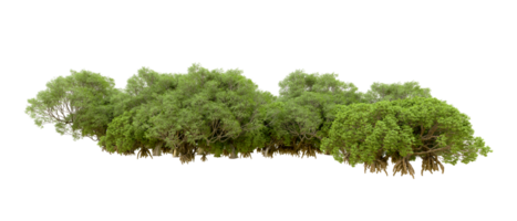 Green forest isolated on background. 3d rendering - illustration png