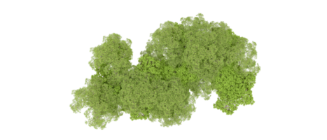 groen Woud geïsoleerd Aan achtergrond. 3d renderen - illustratie png