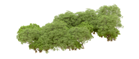 vert forêt isolé sur Contexte. 3d le rendu - illustration png