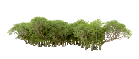 Green forest isolated on background. 3d rendering - illustration png