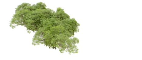 grön skog isolerat på bakgrund. 3d tolkning - illustration png