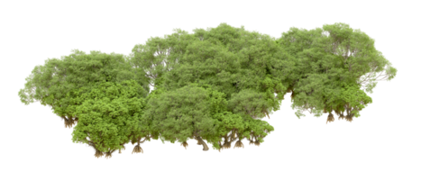 verde floresta isolado em fundo. 3d Renderização - ilustração png