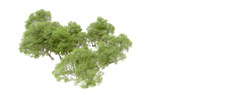 grön skog isolerat på bakgrund. 3d tolkning - illustration png