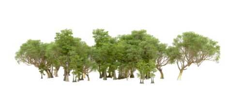 Green forest isolated on background. 3d rendering - illustration png