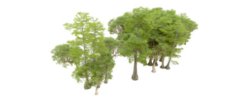 Green forest isolated on background. 3d rendering - illustration png