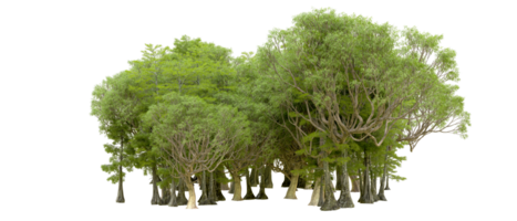 Green forest isolated on background. 3d rendering - illustration png