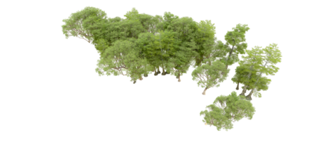 Green forest isolated on background. 3d rendering - illustration png