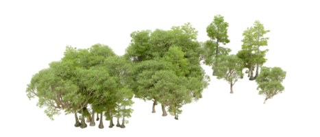 Green forest isolated on background. 3d rendering - illustration png