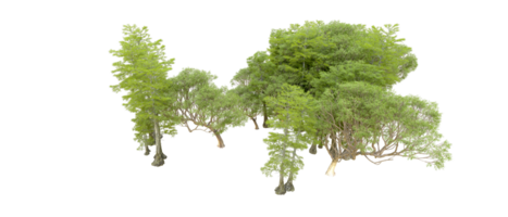 Green forest isolated on background. 3d rendering - illustration png