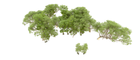 Green forest isolated on background. 3d rendering - illustration png