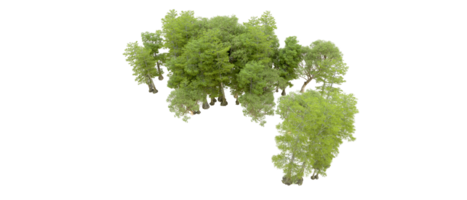 groen Woud geïsoleerd Aan achtergrond. 3d renderen - illustratie png