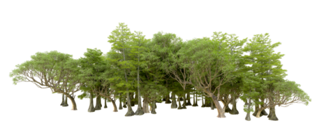 Green forest isolated on background. 3d rendering - illustration png