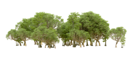 Green forest isolated on background. 3d rendering - illustration png