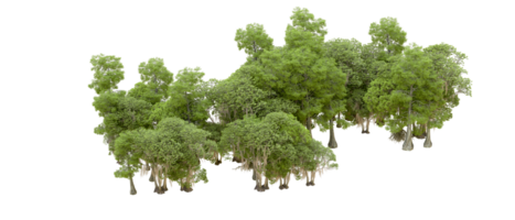 vert forêt isolé sur Contexte. 3d le rendu - illustration png