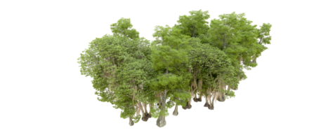 Green forest isolated on background. 3d rendering - illustration png