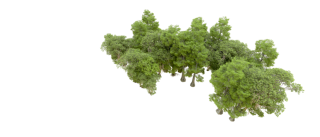 verde floresta isolado em fundo. 3d Renderização - ilustração png