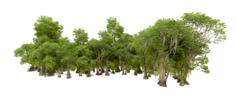 Green forest isolated on background. 3d rendering - illustration png