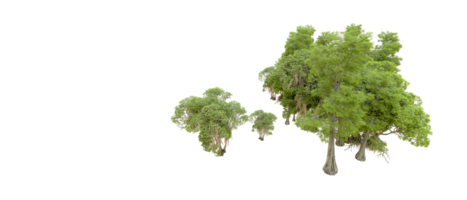 verde floresta isolado em fundo. 3d Renderização - ilustração png