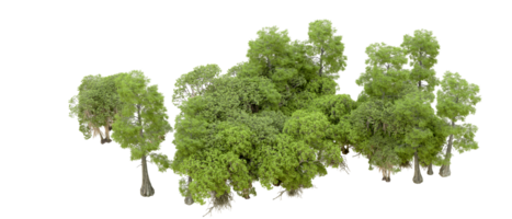 verde foresta isolato su sfondo. 3d interpretazione - illustrazione png