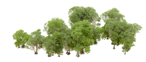 Green forest isolated on background. 3d rendering - illustration png