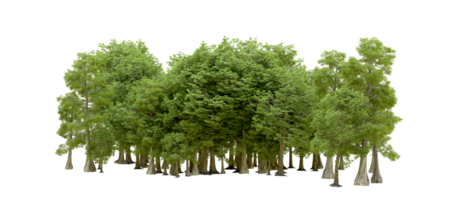 Green forest isolated on background. 3d rendering - illustration png