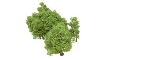 vert forêt isolé sur Contexte. 3d le rendu - illustration png