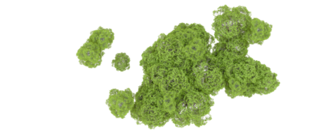 groen Woud geïsoleerd Aan achtergrond. 3d renderen - illustratie png