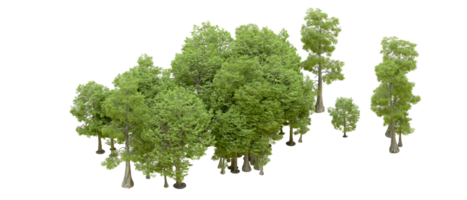 Green forest isolated on background. 3d rendering - illustration png