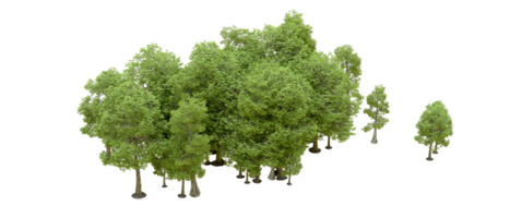 Green forest isolated on background. 3d rendering - illustration png