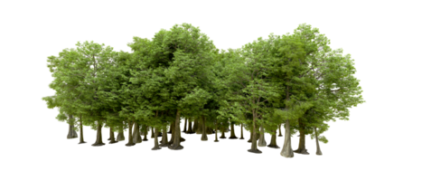 Green forest isolated on background. 3d rendering - illustration png