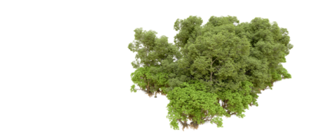 Green forest isolated on background. 3d rendering - illustration png