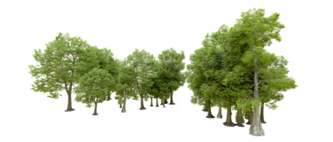 verde floresta isolado em fundo. 3d Renderização - ilustração png