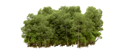 grön skog isolerat på bakgrund. 3d tolkning - illustration png