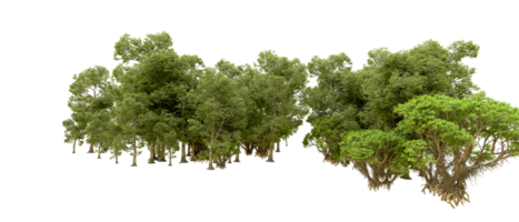 Green forest isolated on background. 3d rendering - illustration png