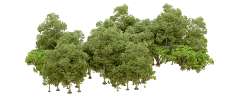 Green forest isolated on background. 3d rendering - illustration png