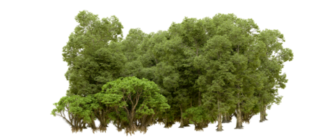 Green forest isolated on background. 3d rendering - illustration png