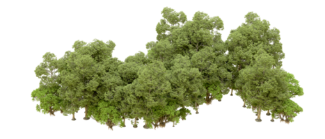 verde foresta isolato su sfondo. 3d interpretazione - illustrazione png