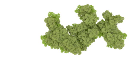 vert forêt isolé sur Contexte. 3d le rendu - illustration png