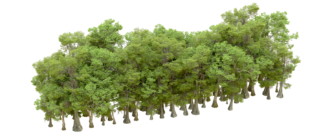 Green forest isolated on background. 3d rendering - illustration png