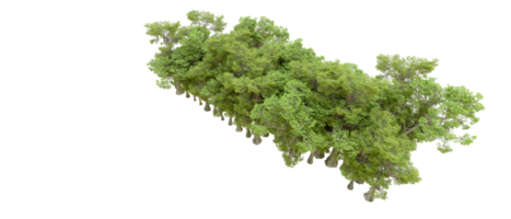 Green forest isolated on background. 3d rendering - illustration png