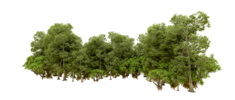 vert forêt isolé sur Contexte. 3d le rendu - illustration png