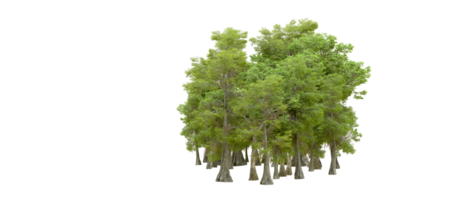 vert forêt isolé sur Contexte. 3d le rendu - illustration png