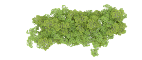 Grün Wald isoliert auf Hintergrund. 3d Rendern - - Illustration png