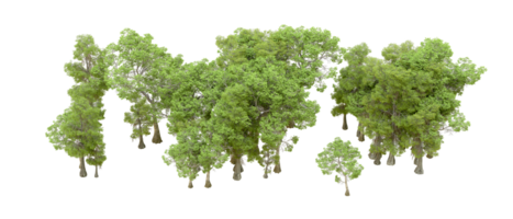 Green forest isolated on background. 3d rendering - illustration png