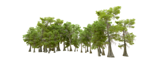 Green forest isolated on background. 3d rendering - illustration png