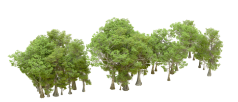 Green forest isolated on background. 3d rendering - illustration png