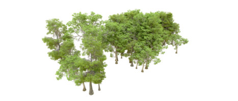 Grün Wald isoliert auf Hintergrund. 3d Rendern - - Illustration png