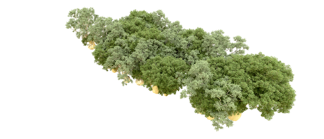 Grün Wald isoliert auf Hintergrund. 3d Rendern - - Illustration png