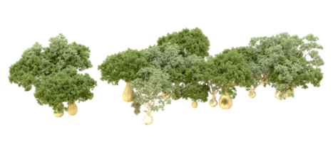 verde foresta isolato su sfondo. 3d interpretazione - illustrazione png