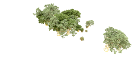 vert forêt isolé sur Contexte. 3d le rendu - illustration png